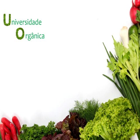 Palestra manejo ecológico do solo