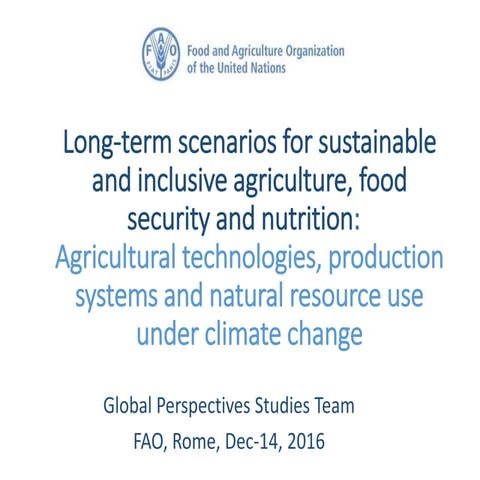 Long-term scenarios for sustainable and inclusive agriculture, food security ...