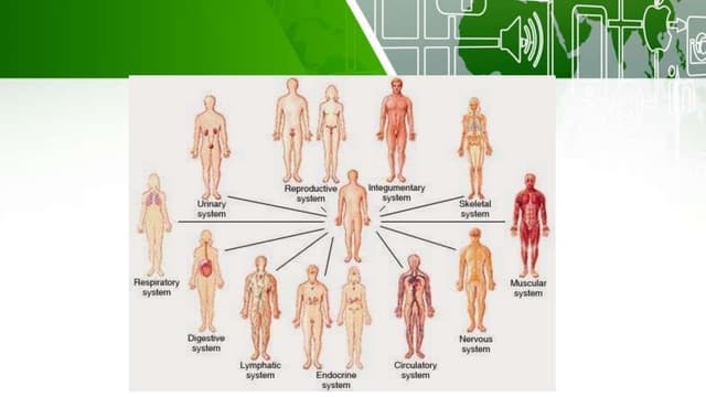 Computer Systems