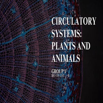 Compare and Contrast Processes in Plants and Animals - Transport and ...