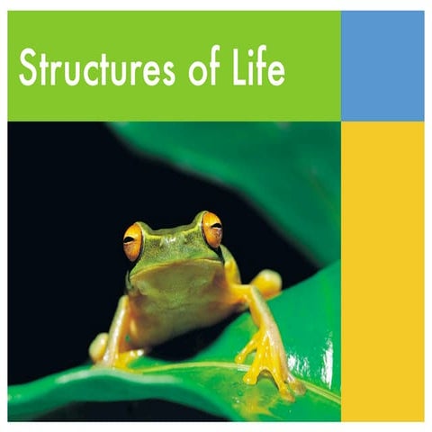 Structures of Life Vocab Keynote