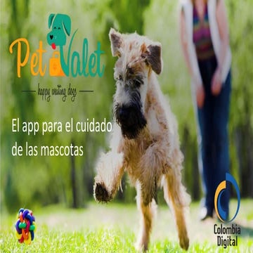 PetValet: el app para el cuidado de las mascotas