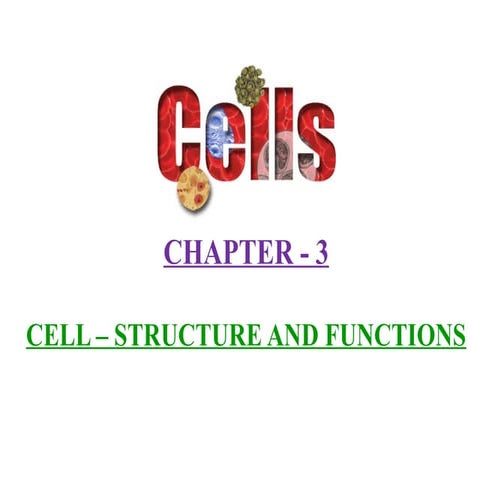 CELL- STRUCTURE AND FUNCTIONS CLASS 8.pptx