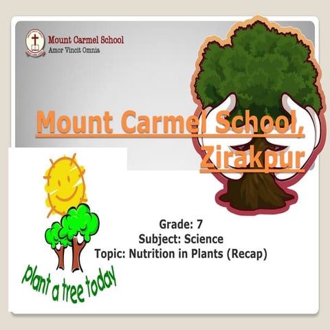 Nutrition in Plants Class 7 Chapter 1