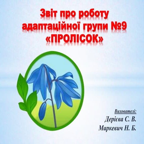 Звіт про роботу адаптаційної групи №9 "Пролісок"