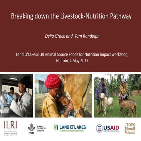 Breaking down the Livestock-Nutrition Pathway