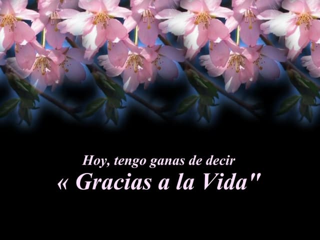 Gracias a la vida