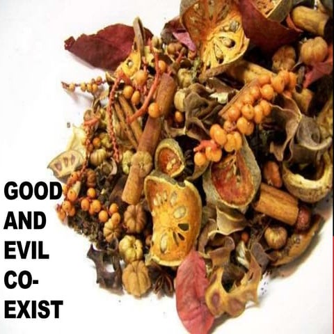 Gracious Jesus 58 - Good and Evil Coexist