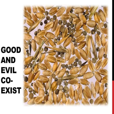 Gracious Jesus 58: Good and Evil Co exist