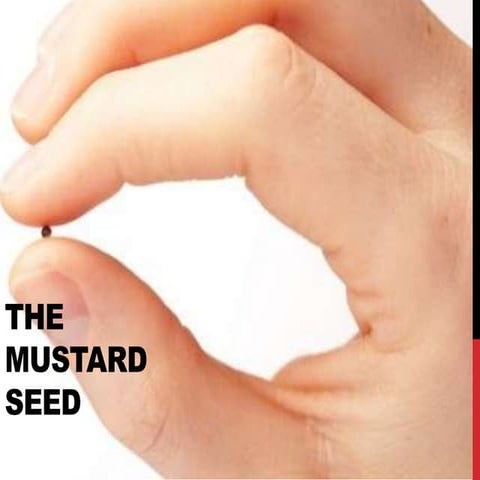 Gracious Jesus 59 The mustard seed