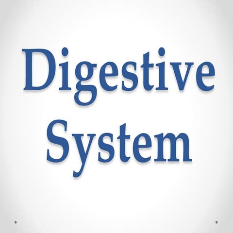 Grade 6-science-digestive-system