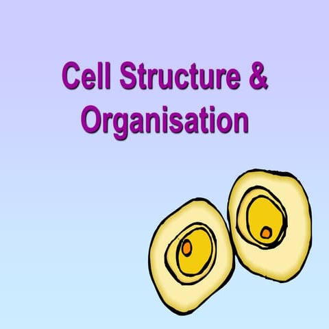 Grade 10 Cell Specialisation (1).ppt