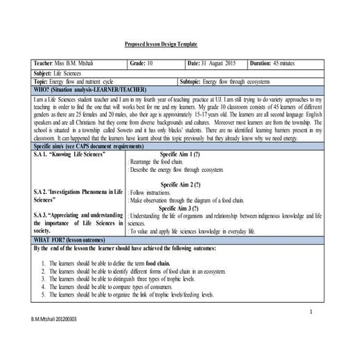 Grade 10 lesson paln  energy flow
