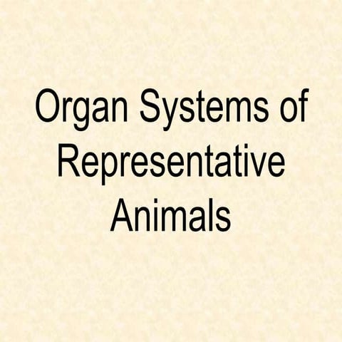 Grade 11 (Organ system of repreentative animals).pptx