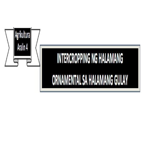 Grade 4  e.p.p. quarter 3 week 1 aralin 4 agriculture- intercropping ng halam...