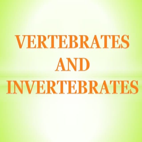 Vertebrates and Invertebrates