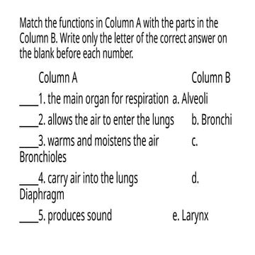 Grade  6 quiz Respiratory system. Grade 5pptx