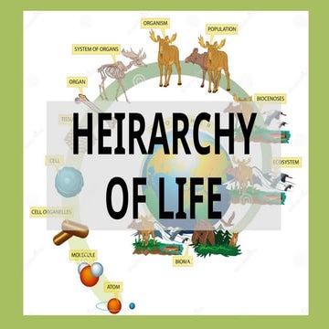 grade7-2- 2ndQ.pptxfhabjlfakhbjfvhbjbjsbvnkhb