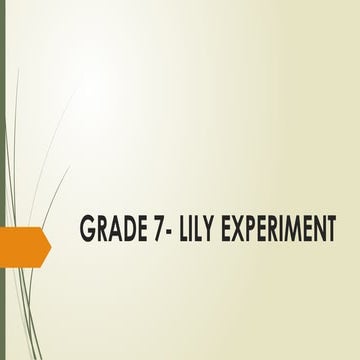 GRADE 7- LILY.pptxXXXXXXXXXXXXXXXXXXXXXXX