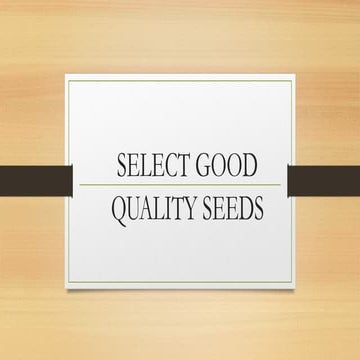 GRADE 9 - SELECT GOOD QUALITY SEEDS.pptx