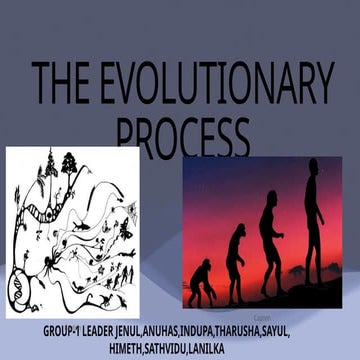 The Evolutionary Process: From Earth's Origin to Modern Life Diversity ...