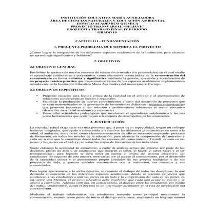 Grado 10   proyecto trabajo final 2017