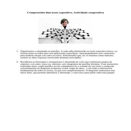 Comprensión dun texto expositivo: grupo de expertos