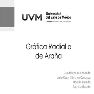 Grafica radial presentacion