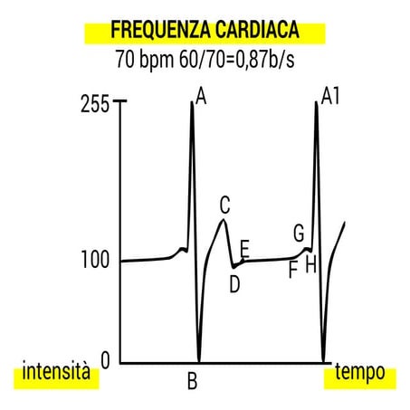 HEART RATE ANALYSIS | PDF