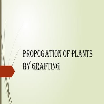 grafting and budding [Autosaved]....pptx