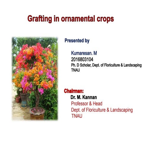 Grafting  in ornamental crops