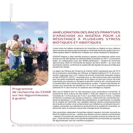 Improving Nigerias groundnut landraces for resistance to multiple biotic and ...