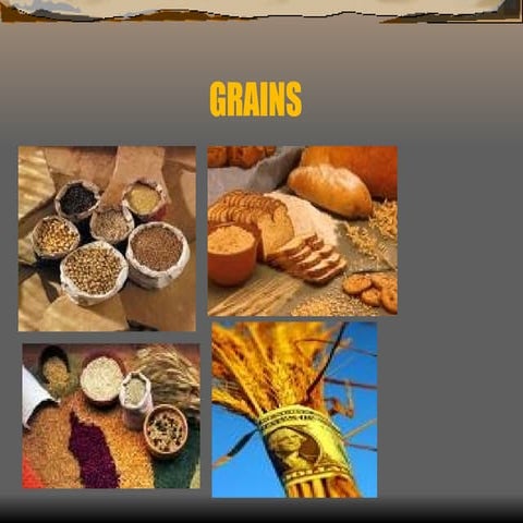 grains 6B