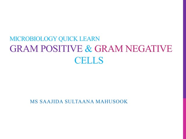 Gram positive & Gram negative cells