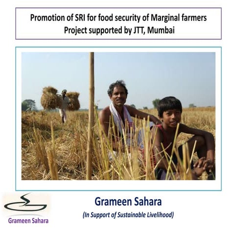 Grameen sahara assam