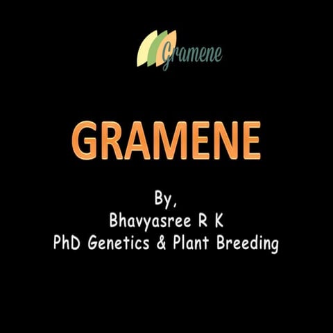 Gramene