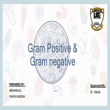Gram + & Gram - seminar.pptx