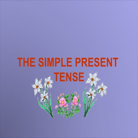 Grammar ( the present tense ) notes 9