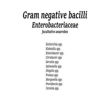 Gram negative bacilli (Enterobacteriaceae)