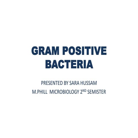 Gram positive bacteria