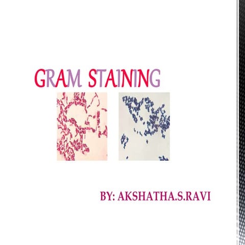 Gram staining