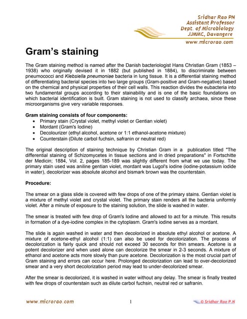 Gram stain for microbiology student