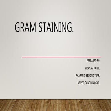 Gram Stain Practical Briefing | PPT