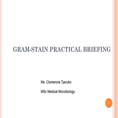 Gram Stain Practical Briefing | PPT