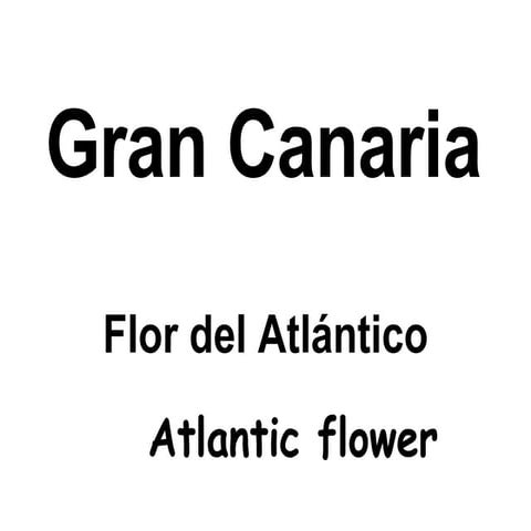 Gran Canaria