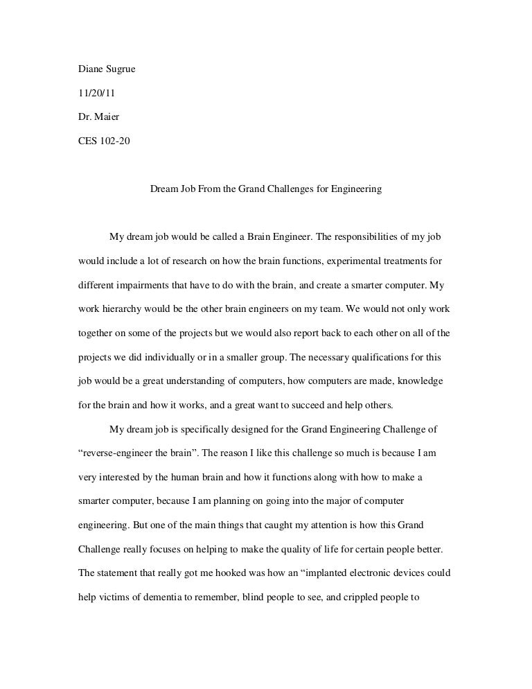 job experience essay