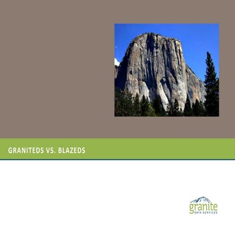 GraniteDS vs BlazeDS