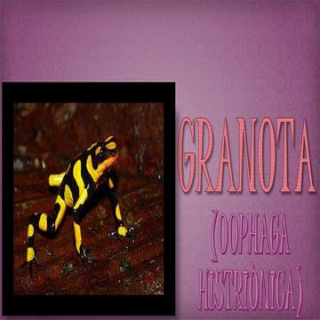 Granota