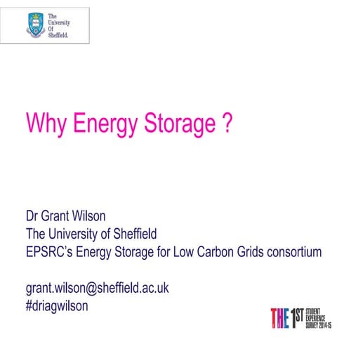 Why Energy Storage? | Grant Wilson