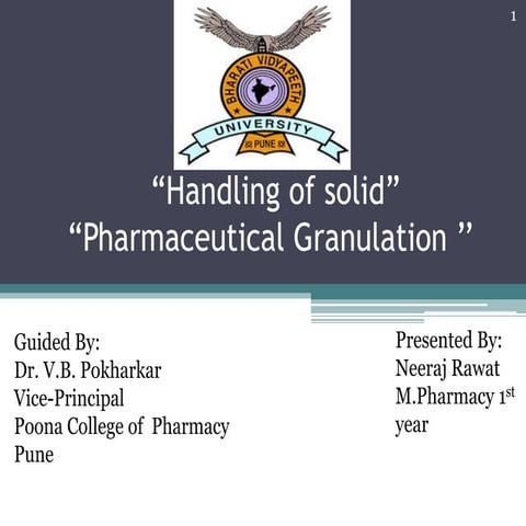 Pharmaceutical Granulation